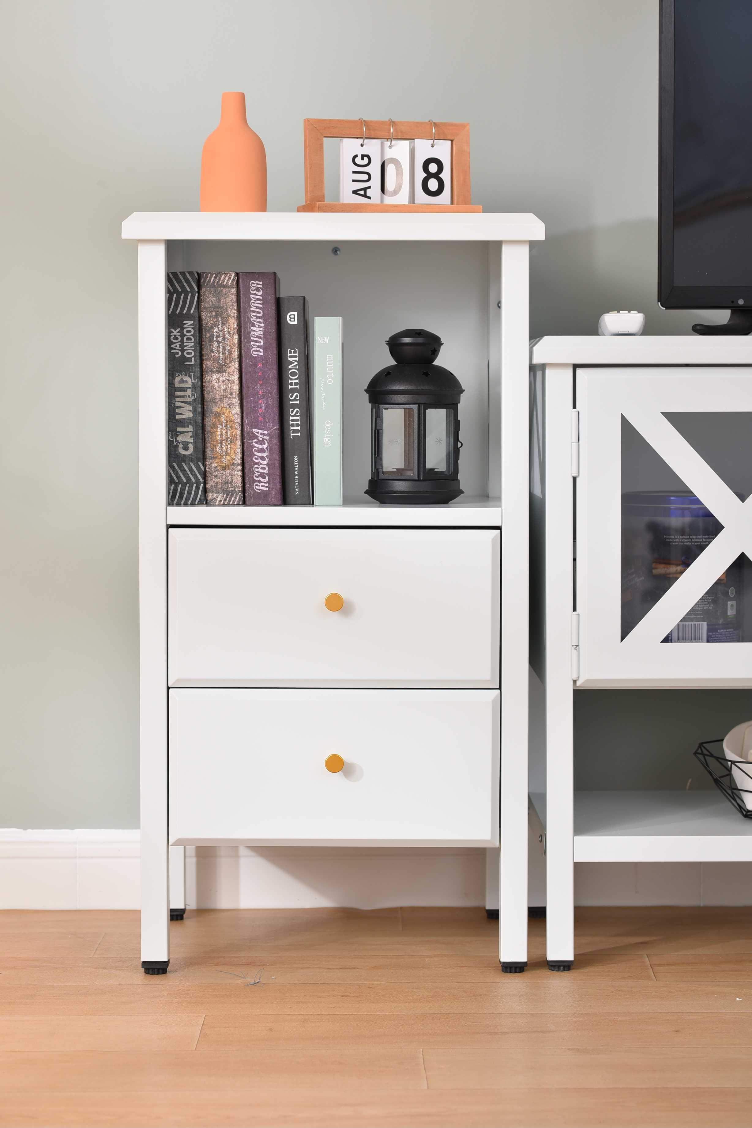 IES-X steel TV stands night stand cabinet furniture China sustainability environment